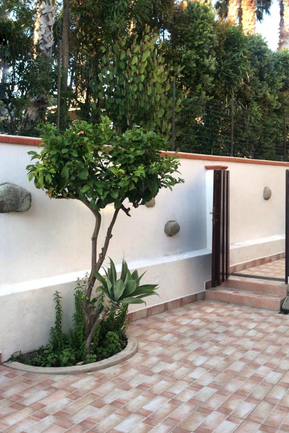 La Turrita Apartments Forio di Ischia 外观 照片